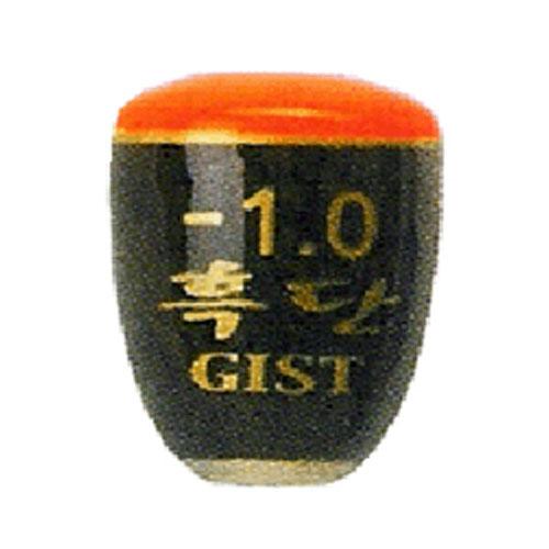  GIST 탄두 수중 HF-299
